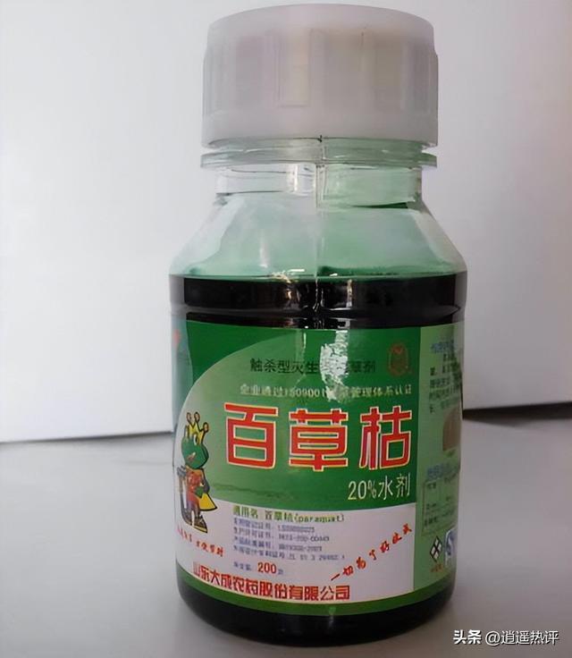 Kaiyun中国官网-两次将妻子捉奸在床，情夫：睡你老婆怎样！丈夫绝望，喝下百草枯